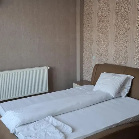 Hotel Palace Petroşani