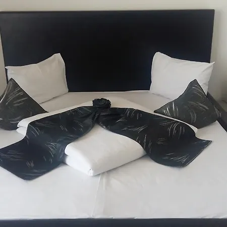 Aparthotel Hotel Palace Petroşani