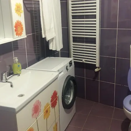 Hotel Palace Petroşani