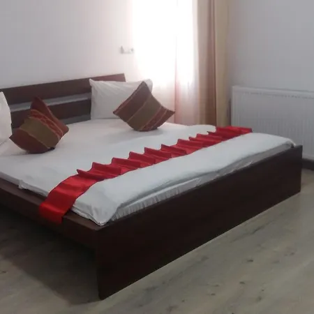 Hotel Palace * Petroşani